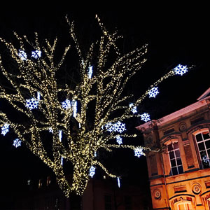 winterland breda